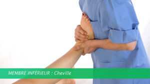 Osteopathie E-Learning
